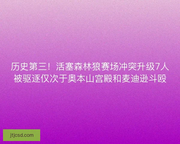 历史第三！活塞森林狼赛场冲突升级7人被驱逐仅次于奥本山宫殿和麦迪逊斗殴